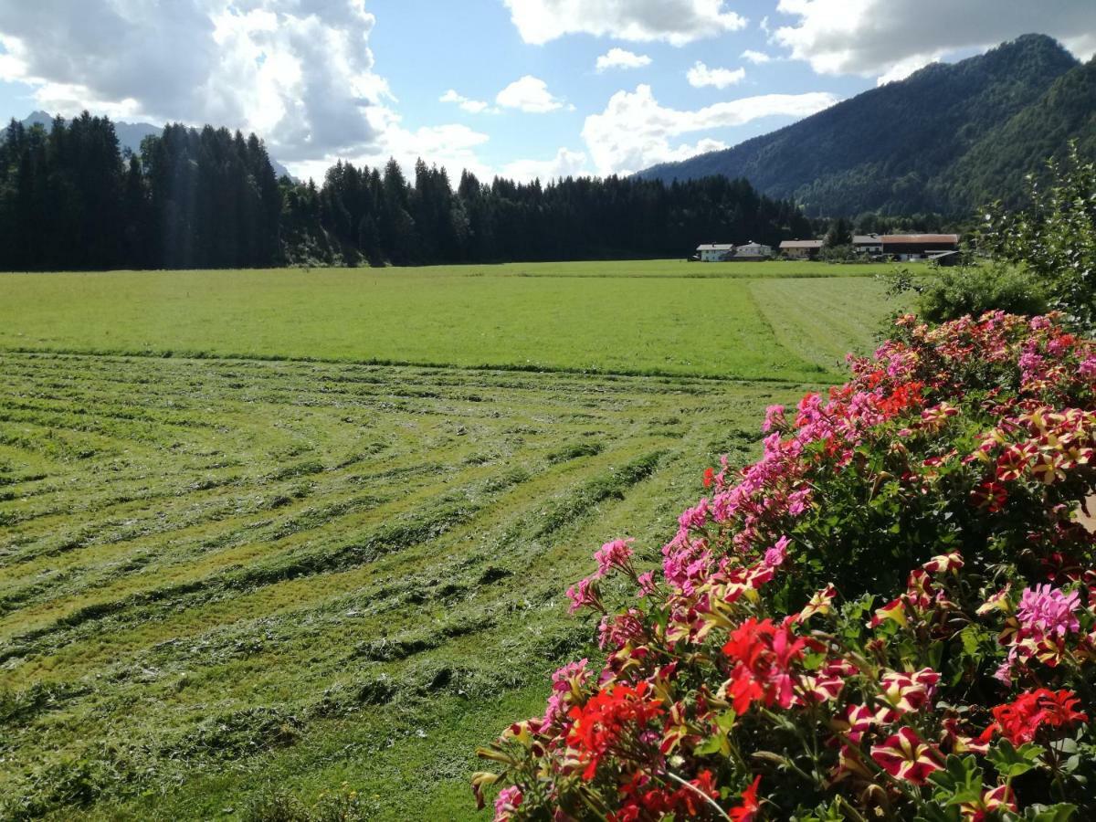 Gaestehaus Gruenbacher Kössen Dış mekan fotoğraf