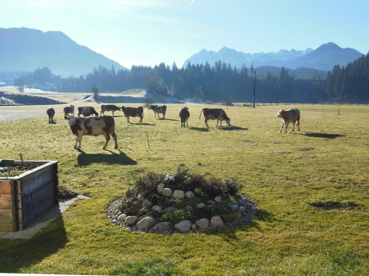 Gaestehaus Gruenbacher Kössen Dış mekan fotoğraf