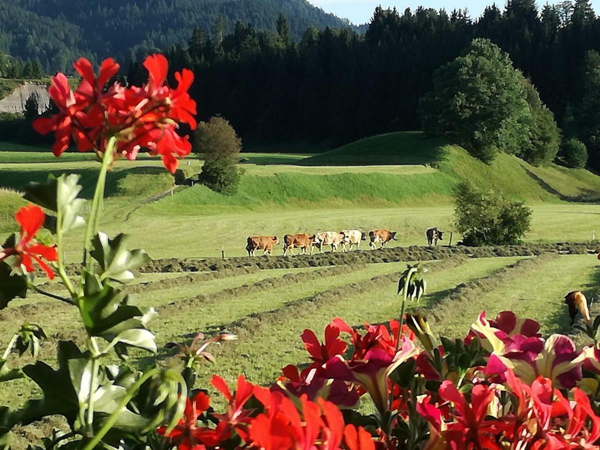 Gaestehaus Gruenbacher Kössen Dış mekan fotoğraf